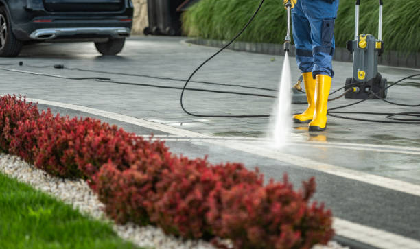 Best Gutter Cleaning  in Lake Ridge, VA