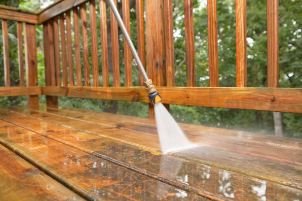 Best Driveway Pressure Washing  in Lake Ridge, VA